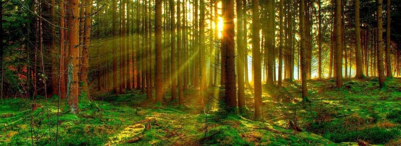 6vd_wnmq0qa4ox6zqm_zefto43o4beyvfaigdibtfxd_i29yve15ssjxcrw1p_xen4hih900